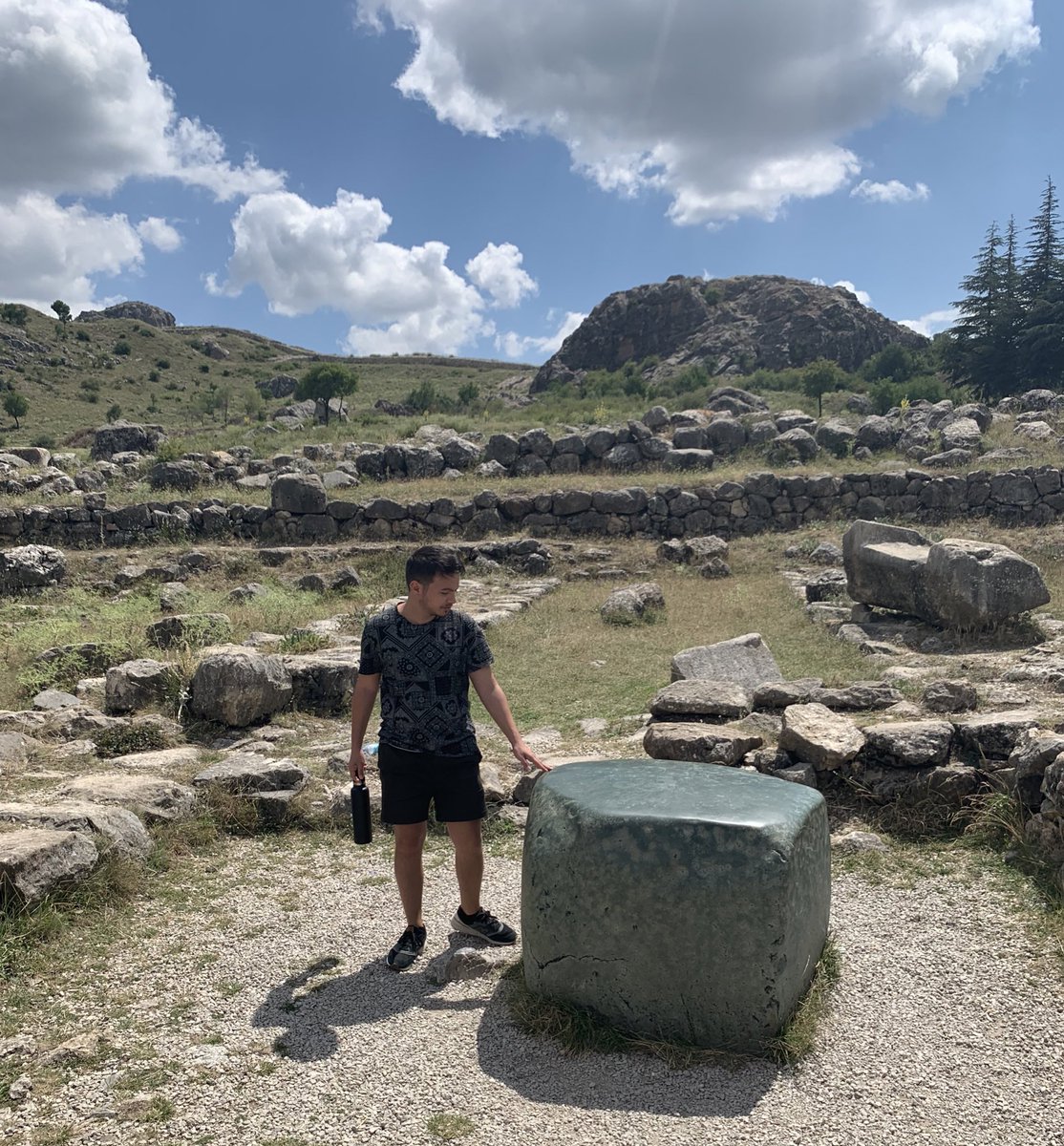 emily brophy (@em_brophy) on Twitter photo 