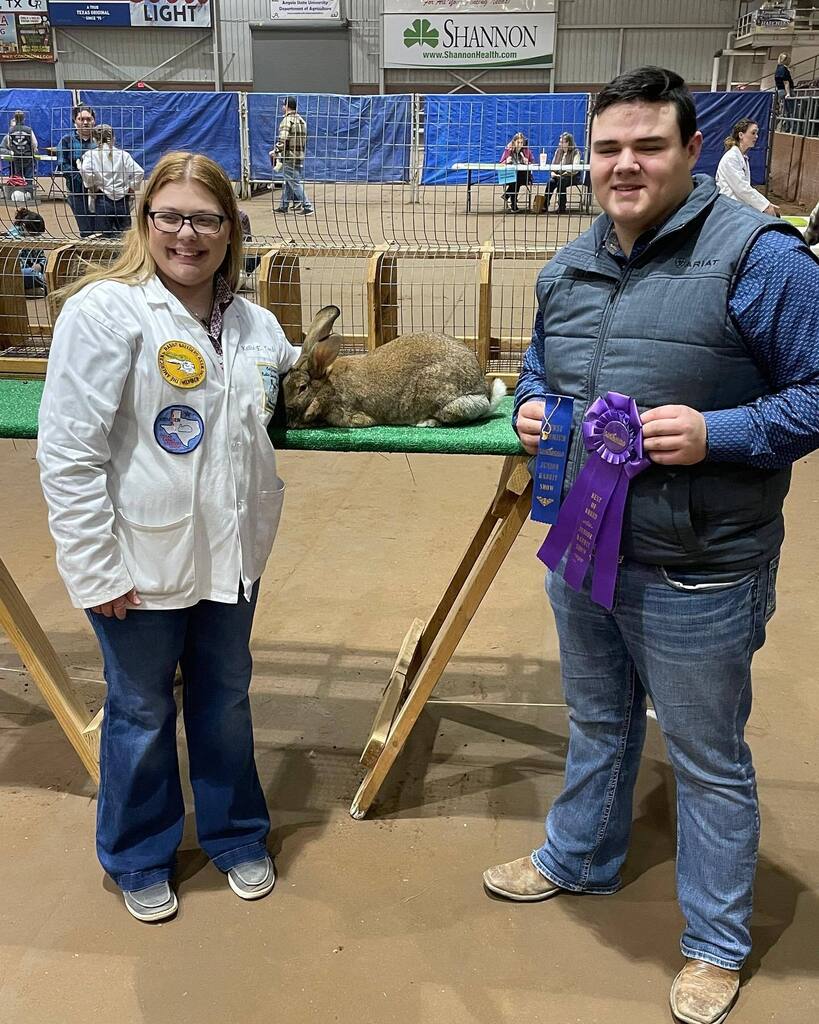 bcentennialffa's tweet photo. Congratulations Blake on winning best of breed at the San Angelo Livestock show! https://t.co/DTuGckcMQ6 #BurlesonISD #BurlesonCTE https://t.co/fvgA1nnmBm