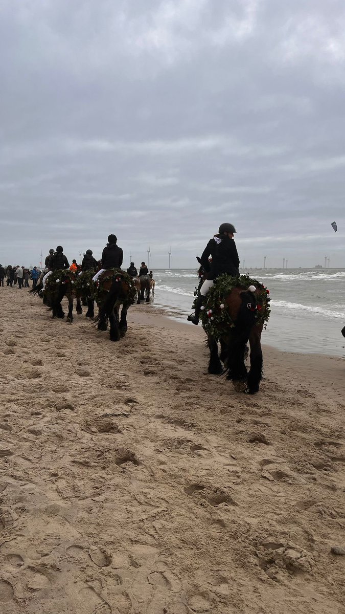 frederiquespigt's tweet photo. Vandaag een lange dag in Zeeland - vanaf april bij @omroepzeeland deze stoet rijdt door naar Hengelo #cafedecactus daar speel ik morgenavond! Zondag dus https://t.co/7Gm89FYcuh