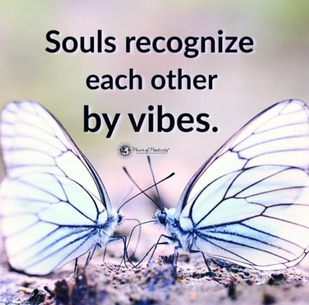 #SaturdayVibes