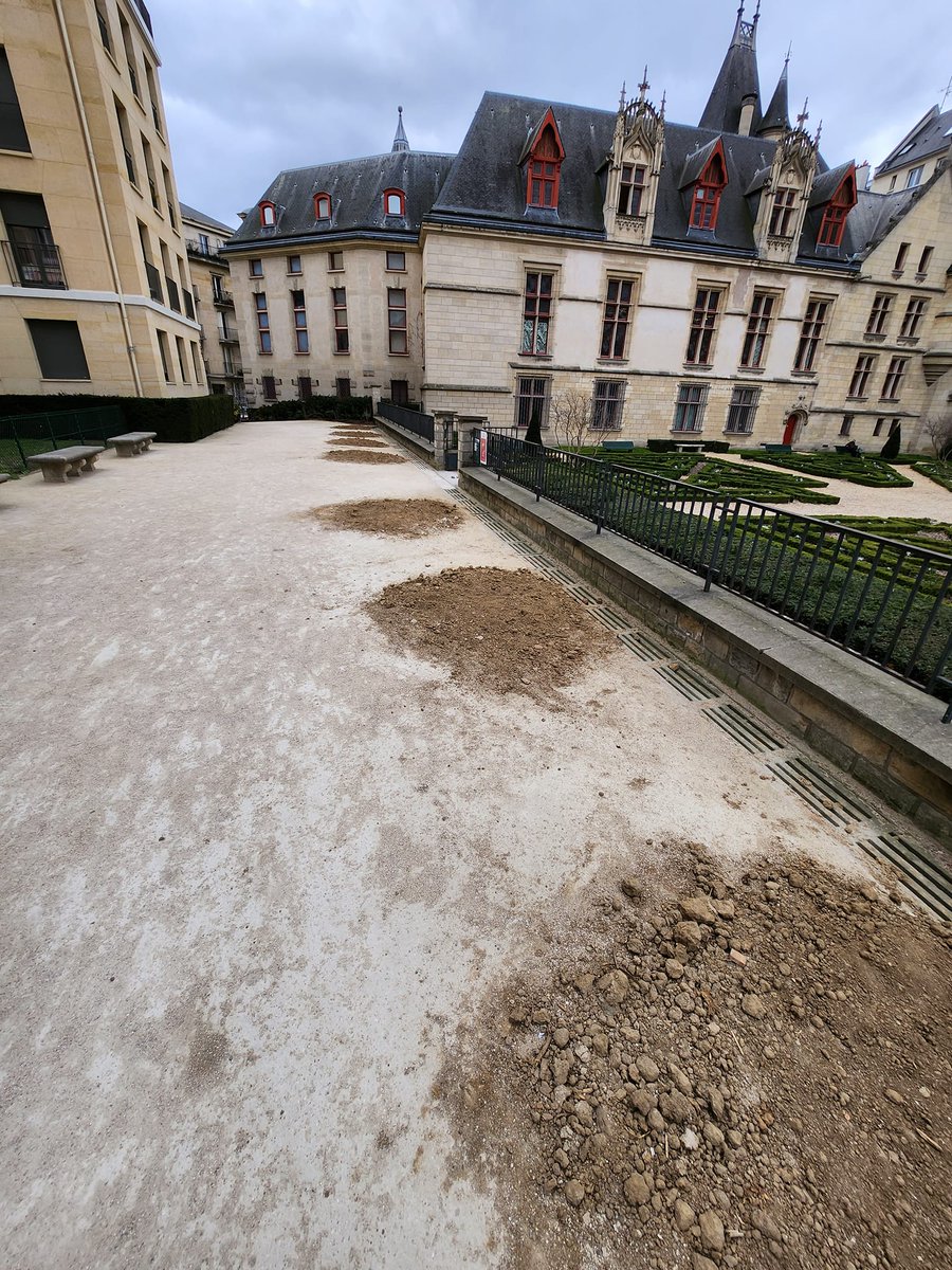 parisienencoler's tweet photo. Encore une petite dizaine d'arbres arrachés près de la bibliothèque Forney alors qu'ils semblaient être en bonne santé #saccageparis #ParissousTutelle https://t.co/acGDeojQgj
