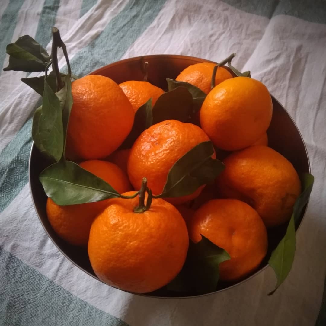 ConfidentialUn's tweet image. Tangerines are packed with antioxidants, which may support immunity, provide cancer-fighting properties, and improve brain, skin, and heart health.

#Tangerines #Fruit #Health