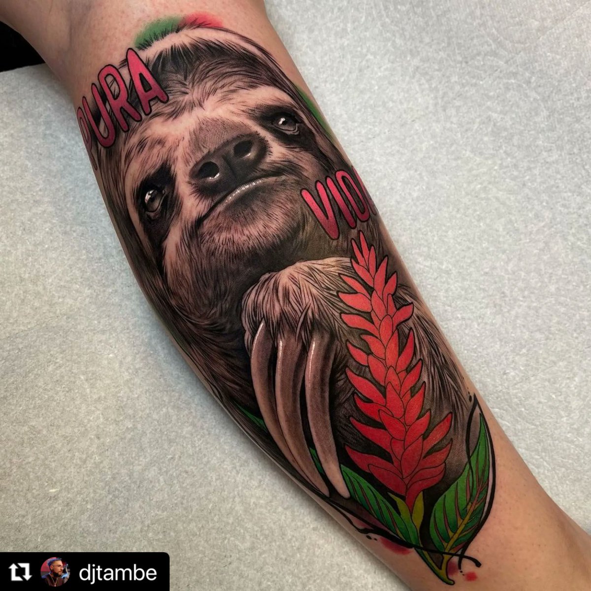 Sponsored Artist: @djtambe 
#beacontattoosupply #tattooartist #tattooartists #tattooartistic #tattooartistlife #tattoosupplies #tattoosupply #tattoostagram #tattoosofinstagram #tattoosociety #tattoo #tattoos #tattoosofig #sloth #slothtattoo #colorrealism #realism #realismtattoo