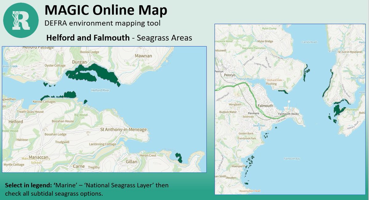Wednesday night I gave a talk on the <a href="/EULIFERemedies/">LIFE Recreation ReMEDIES</a> project for <a href="/NE_DCIoS/">Natural England- Devon, Cornwall & Isles of Scilly</a> &amp; <a href="/TheGreenBlue/">The Green Blue</a> on our efforts to protect seagrass habitats in Fal &amp; Helford. Proud to work alongside our partners to reduce recreational impacts &amp; promote awareness of the importance of these habitats.⛵️