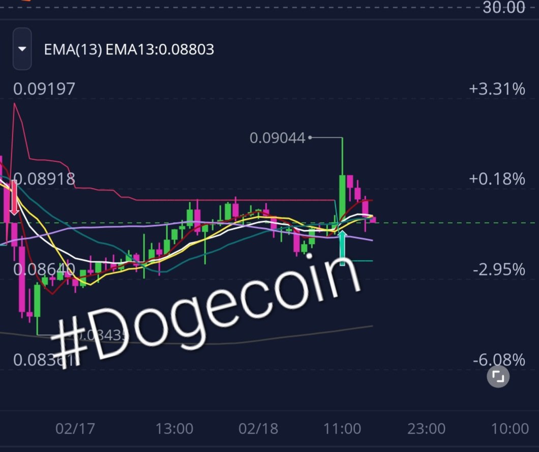 #Dogecoin