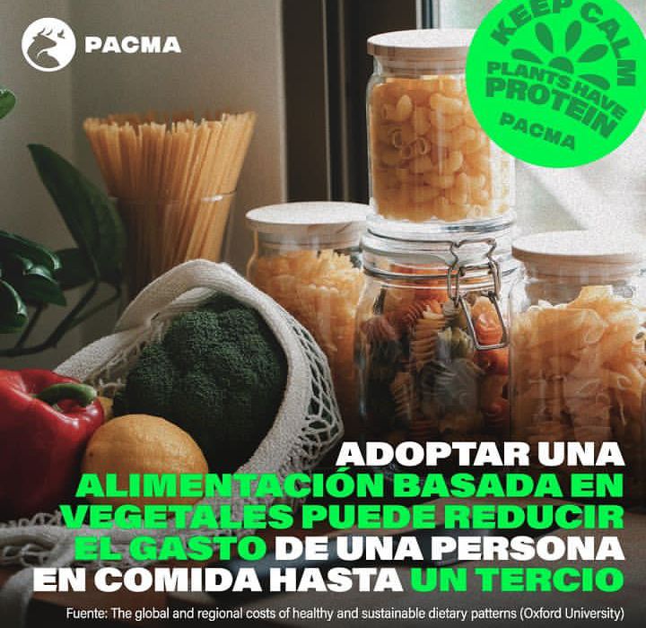 MartinezNevado's tweet photo. El veganismo salva de #horrores a millones de #animales, evita industrias que arrasan con el #planeta, #hambre en el mundo y problemas de #salud.
.@PartidoPACMA si difunde el #veganismo y hoy en día tienes todo tipo de alternativas deliciosas para vivir de manera #compasiva. https://t.co/DziybiyLC5