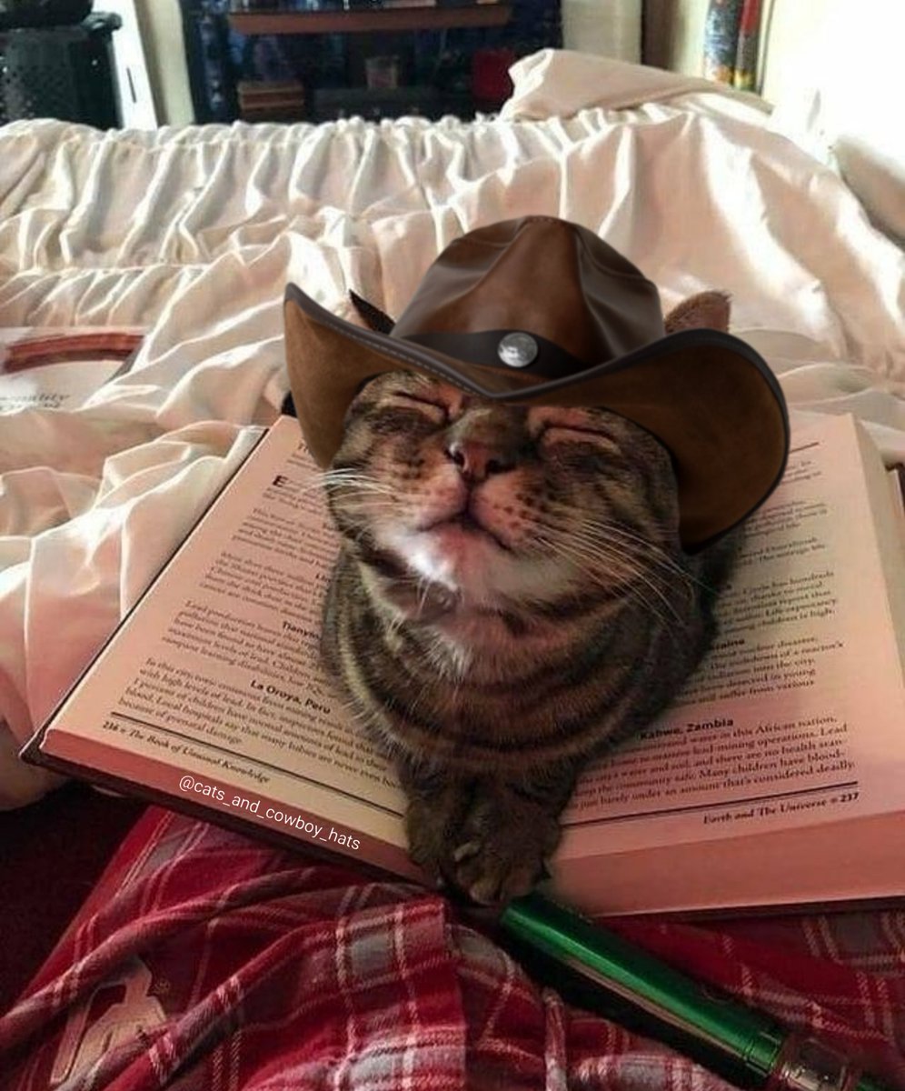 CowboyCats's tweet photo. https://t.co/E1KVSoDGmH