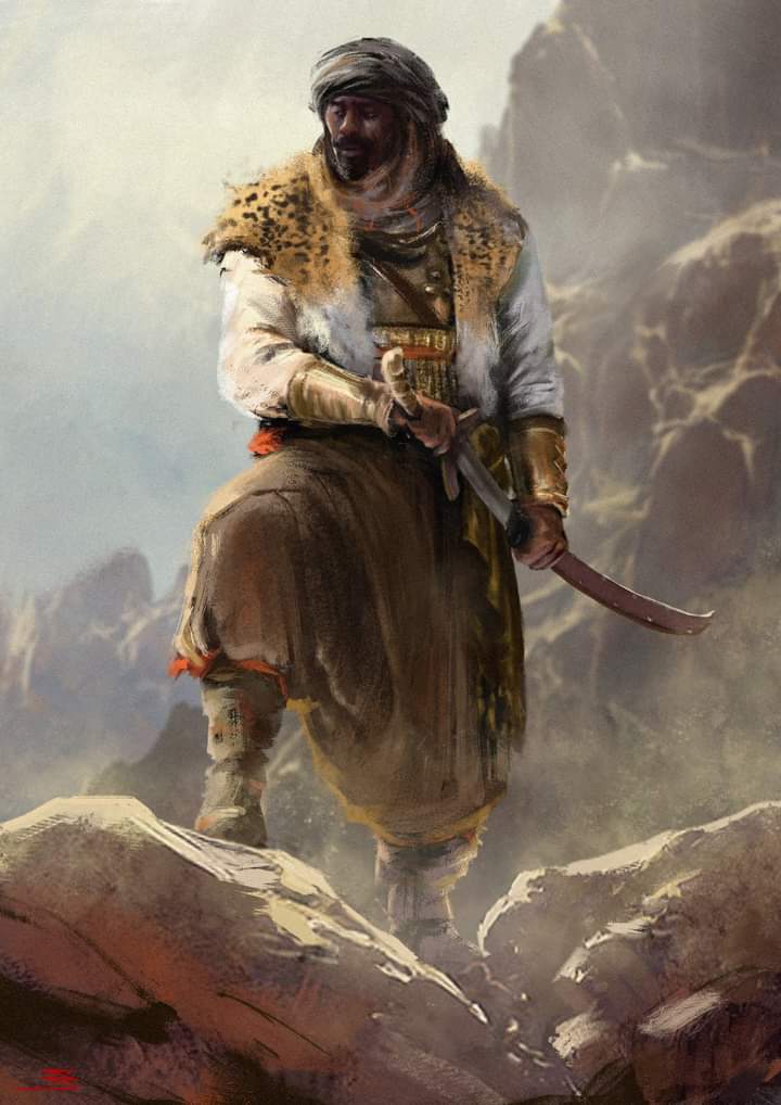 يقول حاكم اليمن في القرن السابع الهجري محمد بن عبد الله بن حمزة  الهاشمي في قصيدته ذات الفروع  

وفي العز من عليا نميـر أرومـة
لها قمـر فينـا مضـيء وكوكـبُ

وفي القلب من حيي هلال بن عامر 
نـوازع حـب لا تـزول وتنـهـبُ

همُ أوطأوا غربـي مصـر جيادهـم
وهم ما هموا والدهر بالنـاس قلـبُ