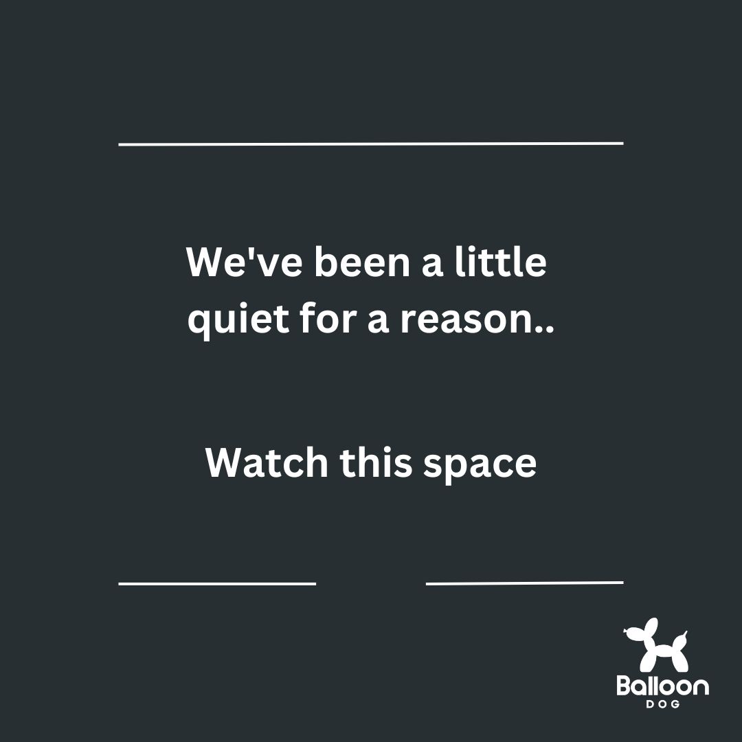 BalloonDog (@weareballoondog) on Twitter photo 