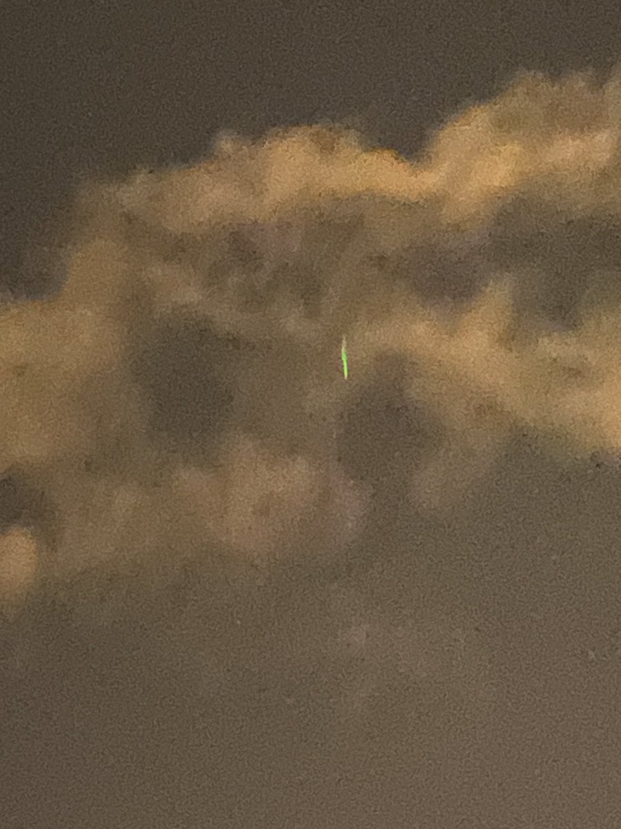 July Nechaeva tweet media