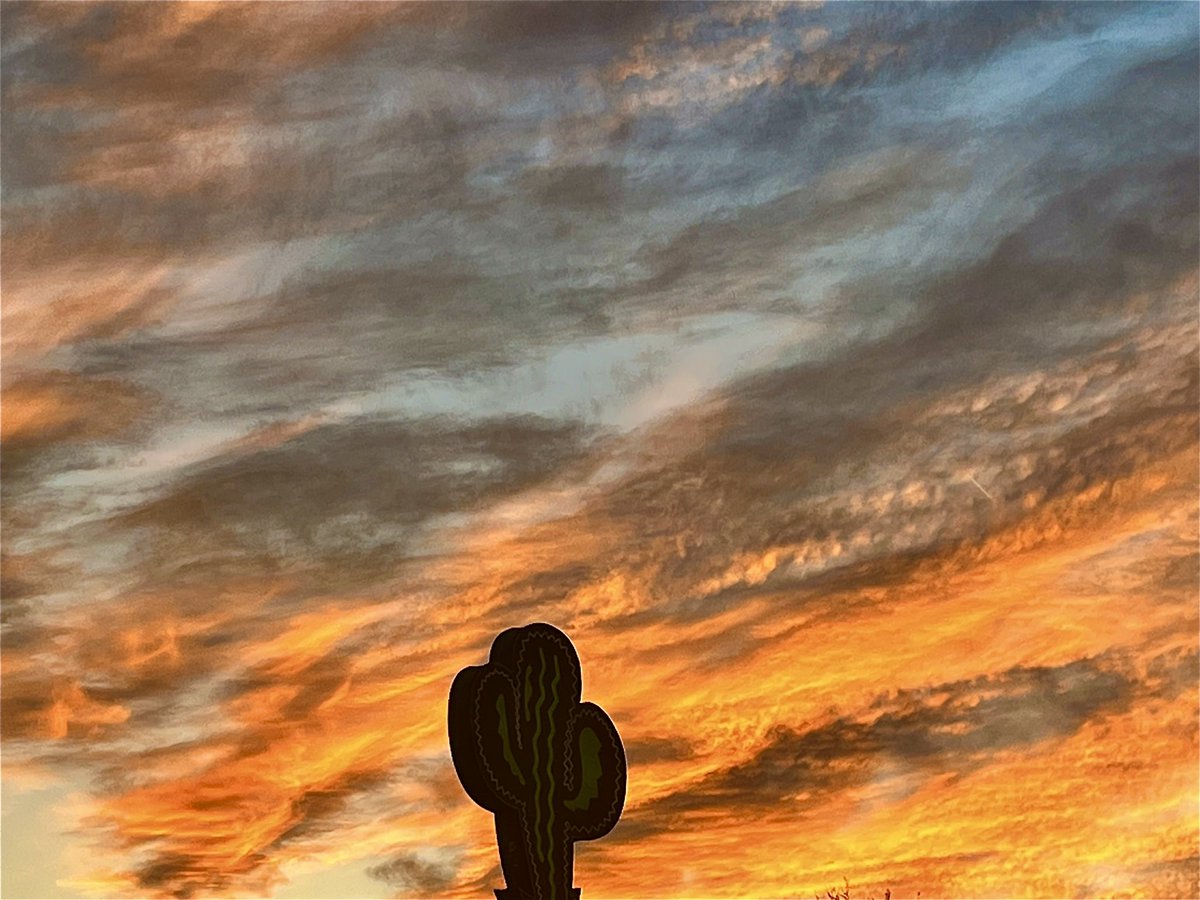 RPCarney's tweet photo. Beautiful desert sunset last night w/ a glorious cactus in the foreground. #NCdesertpics #bigcactusguy #LGLG #keepitrio #Greensboro https://t.co/nXZxdkMa6y
