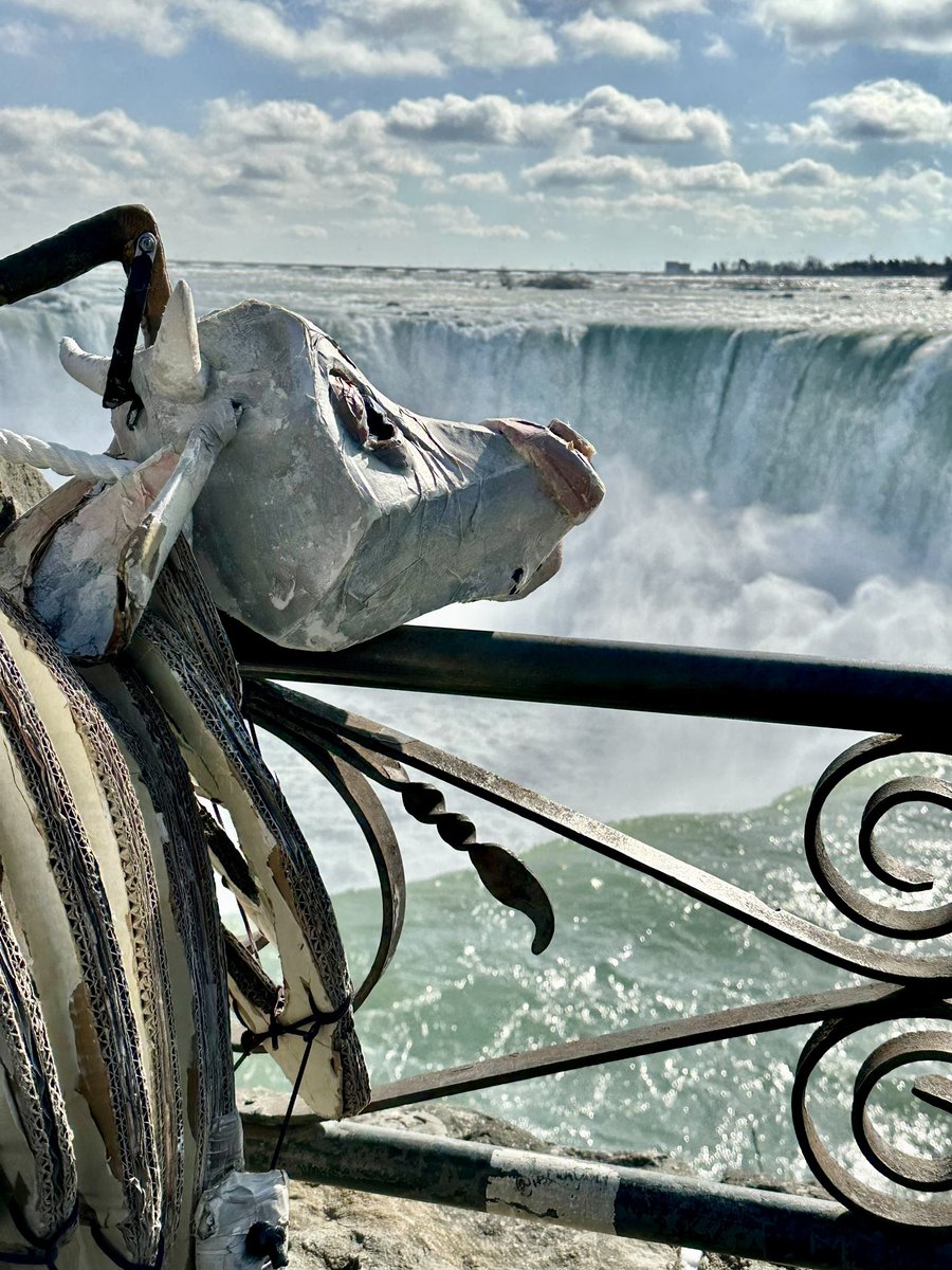 ITWBroadway's tweet photo. The difference between a cow and a bean is a cow can visit Niagara Falls!

#MilkyWhiteSeesAmerica

First stop: Buffalo ✅

Stay tuned to see where Milky White visits next 🐮 https://t.co/RrGGnOFgMZ