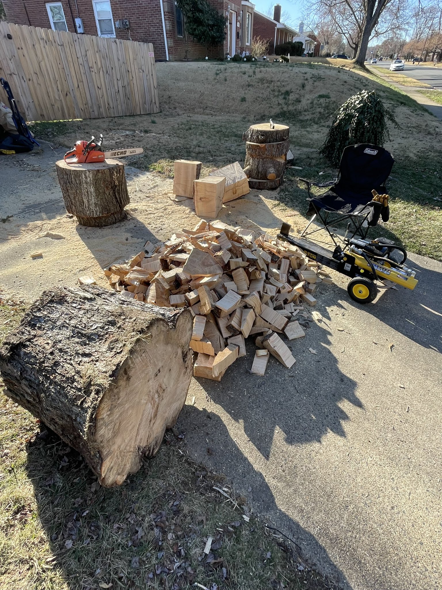 Cole T Lyle On Twitter Chopping Up A 40ft High 3ft Diameter Fallen cole-t-lyle-on-twitter-chopping-up-a-40ft-high-3ft-diameter-fallen