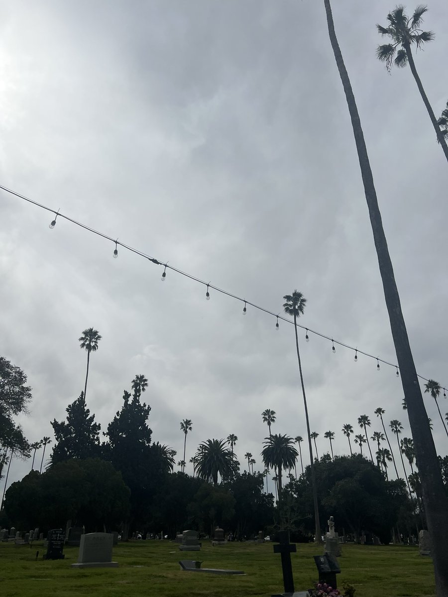 xo_mxkitty's tweet photo. POV: you’re running through Hollywood Forever Cemetery in a pair of cowboy boots. your senses are awakened. you are alive in a dying body https://t.co/MdRSjNftqX