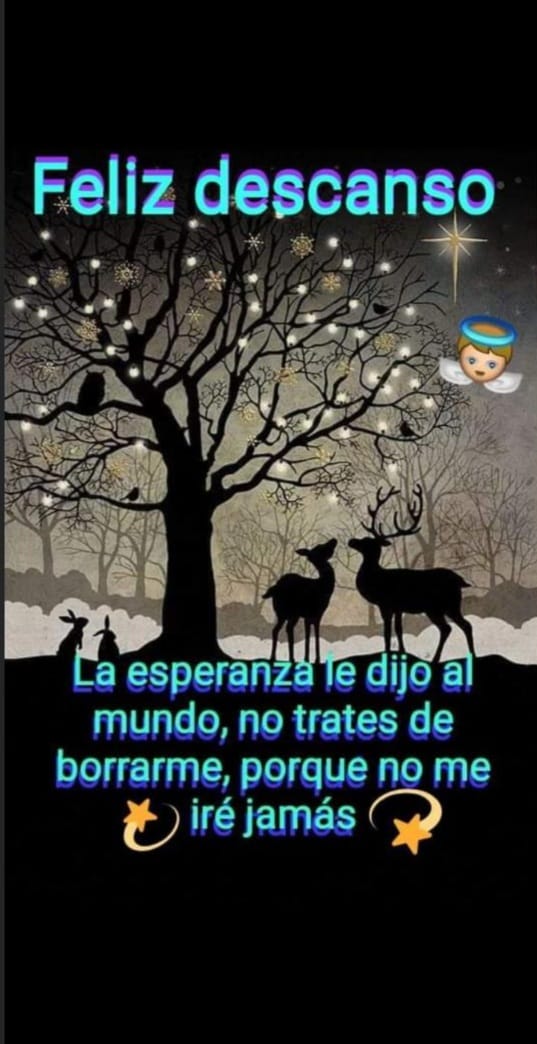 OrlandCarmen1's tweet photo. Feliz descanso 😴😴😴💜💜💜💜💜💜💜💜💜💜💜💜💜💜💜💜#APOYOROCIO18F https://t.co/AIplmBcZWz