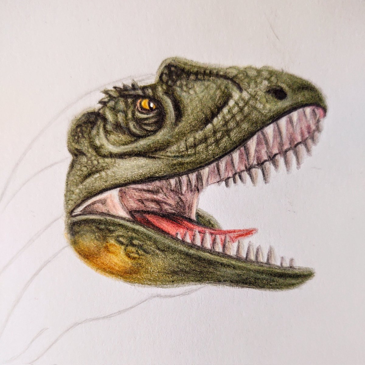 Next drawing: Concavenator!