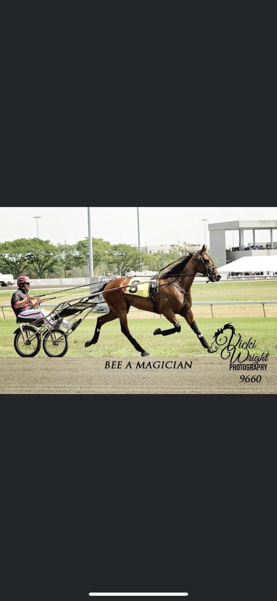 Bee A Magician one of my many favorites