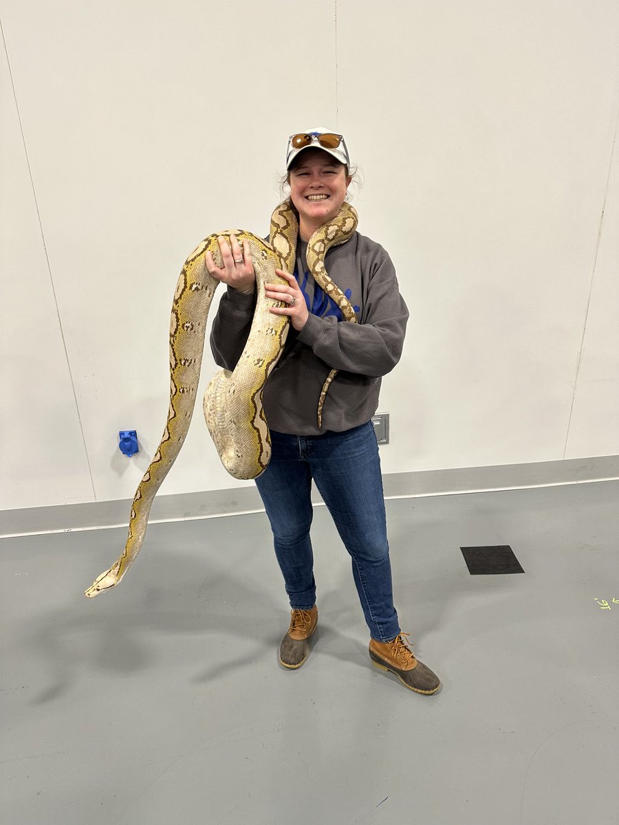 MissusKilljoy_'s tweet photo. Most people at the reptile expo- omfg a huge snake

Me: hold my beer https://t.co/C3oPvmHFAc