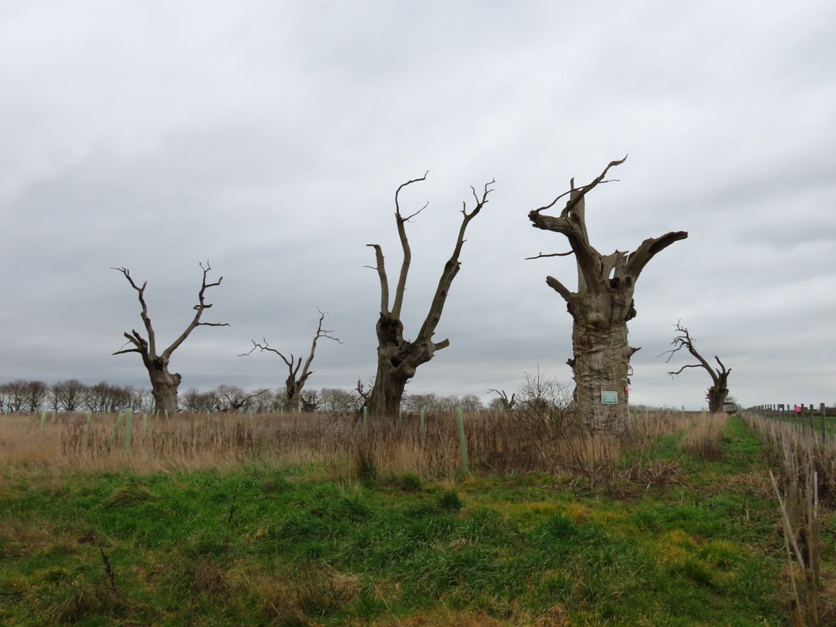 Chris Gibson 🇺🇦 🇪🇺 #rejoinTheCivilisedWorld tweet media