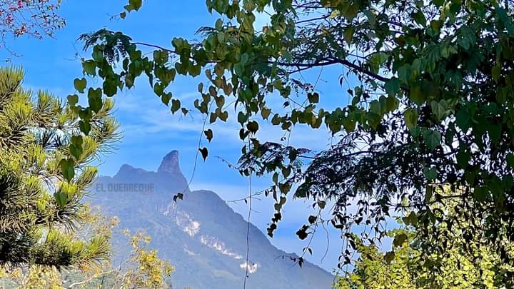 fpadilla64's tweet photo. Cerro de la #Silleta en #Xilitla
#PuebloMágico ,,#HuastecaPotosina ,,,#BuenasTardes #Sabado.. Saludos https://t.co/MnJczYutqF