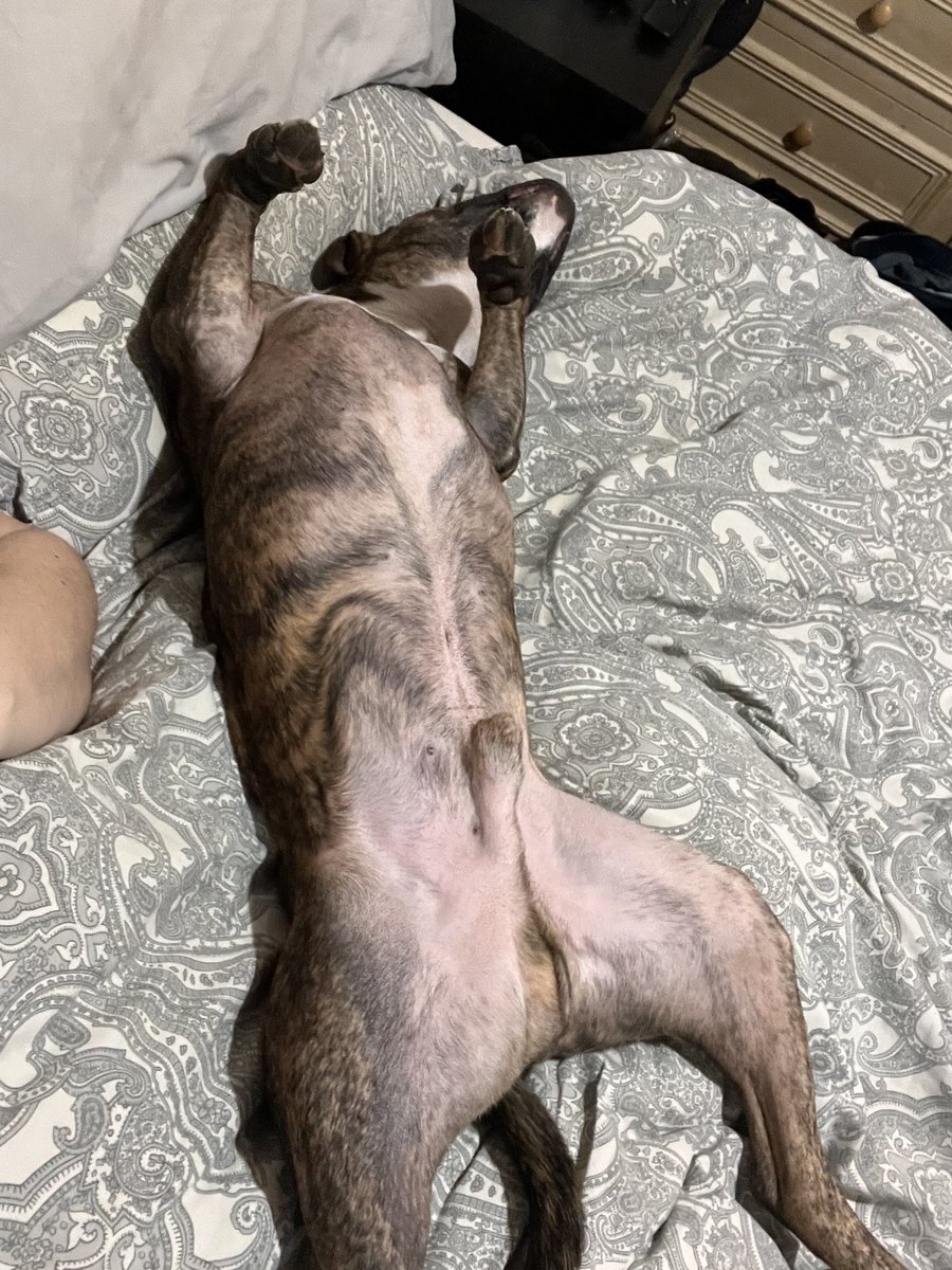 Cathryn O’Shea (文音) tweet media