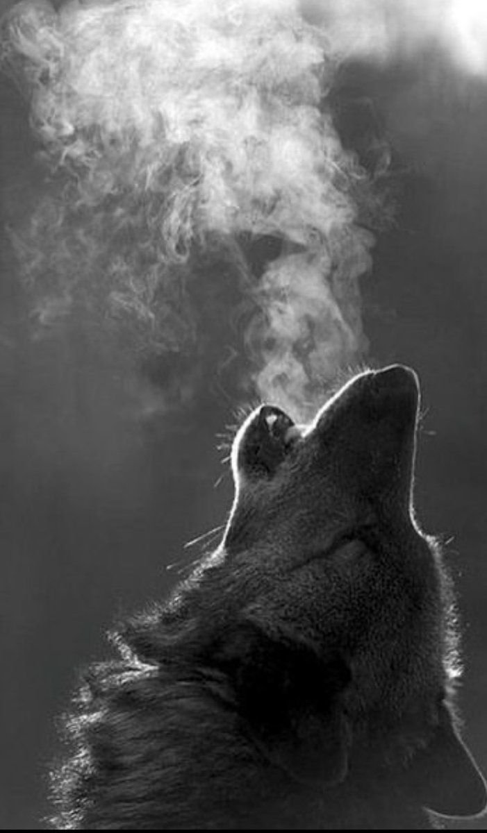 Be on good terms with all men, rather than violence to yourself, speak your truth quietly and plainly, and listen to others: they too tell their story Mid loud and aggressive men.