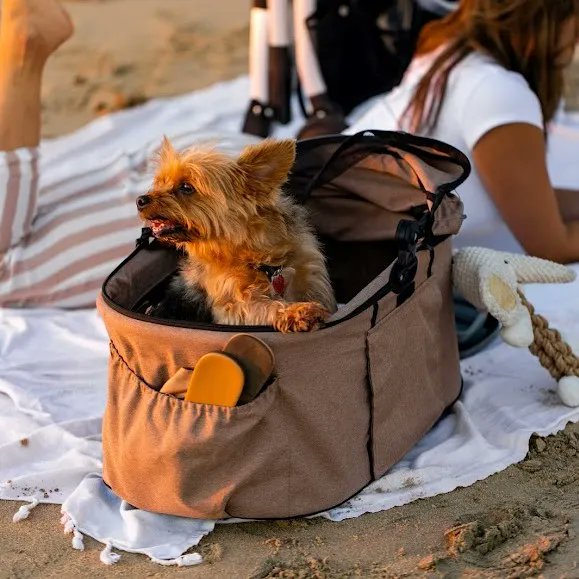 petiquepets's tweet image. Trips to the beach have never been more fun🤩 You can relax in the sand knowing your fur baby is safe and secure in the Newport Pet Carrier, a par of the 3-in-1 ULTIMATE pet travel system🥰

#tongueoutthursday #adventuredogsofinstagram #adventuredogs #adventuredog