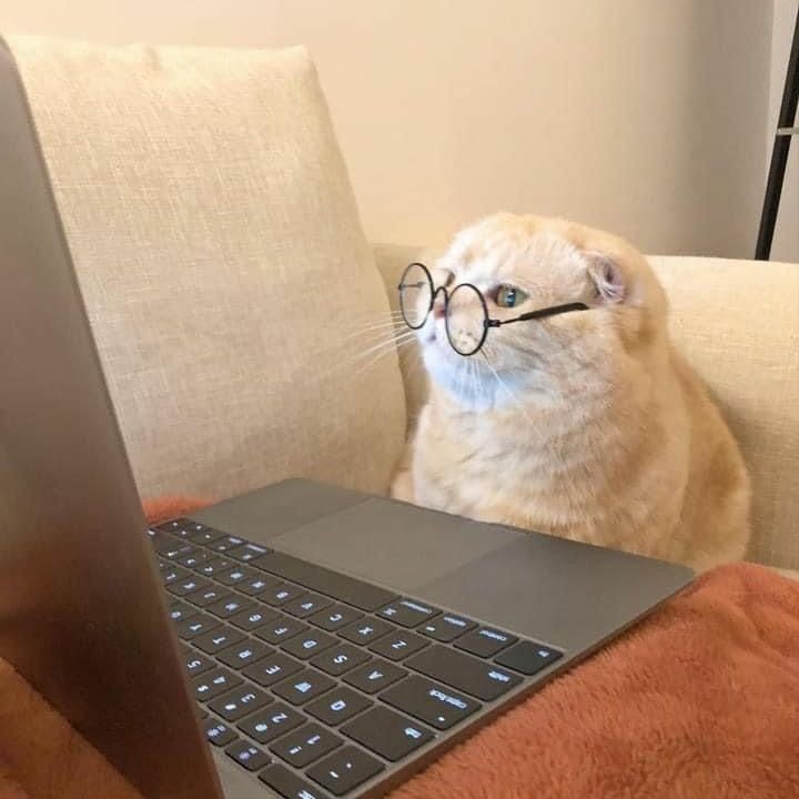 pudindefresas's tweet image. 🐱    ࣪    ۪  Encuentra tu método de estudio ideal !!    ᱹ ♡    ࣪⋆