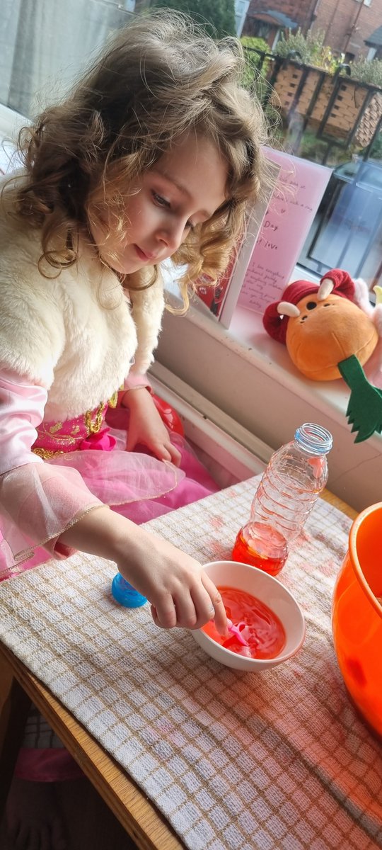 MI5S_JONES's tweet photo. Looking forward to mummy and Evelyn week. Miss Jones is in the wardrobe this week...well kind of. You never lose the 'teacherness'. 
DAY ONE #perfumemaking Reusing those Valentine's petals #halfterm #teacher #familytime https://t.co/AsqGYrt0Pt