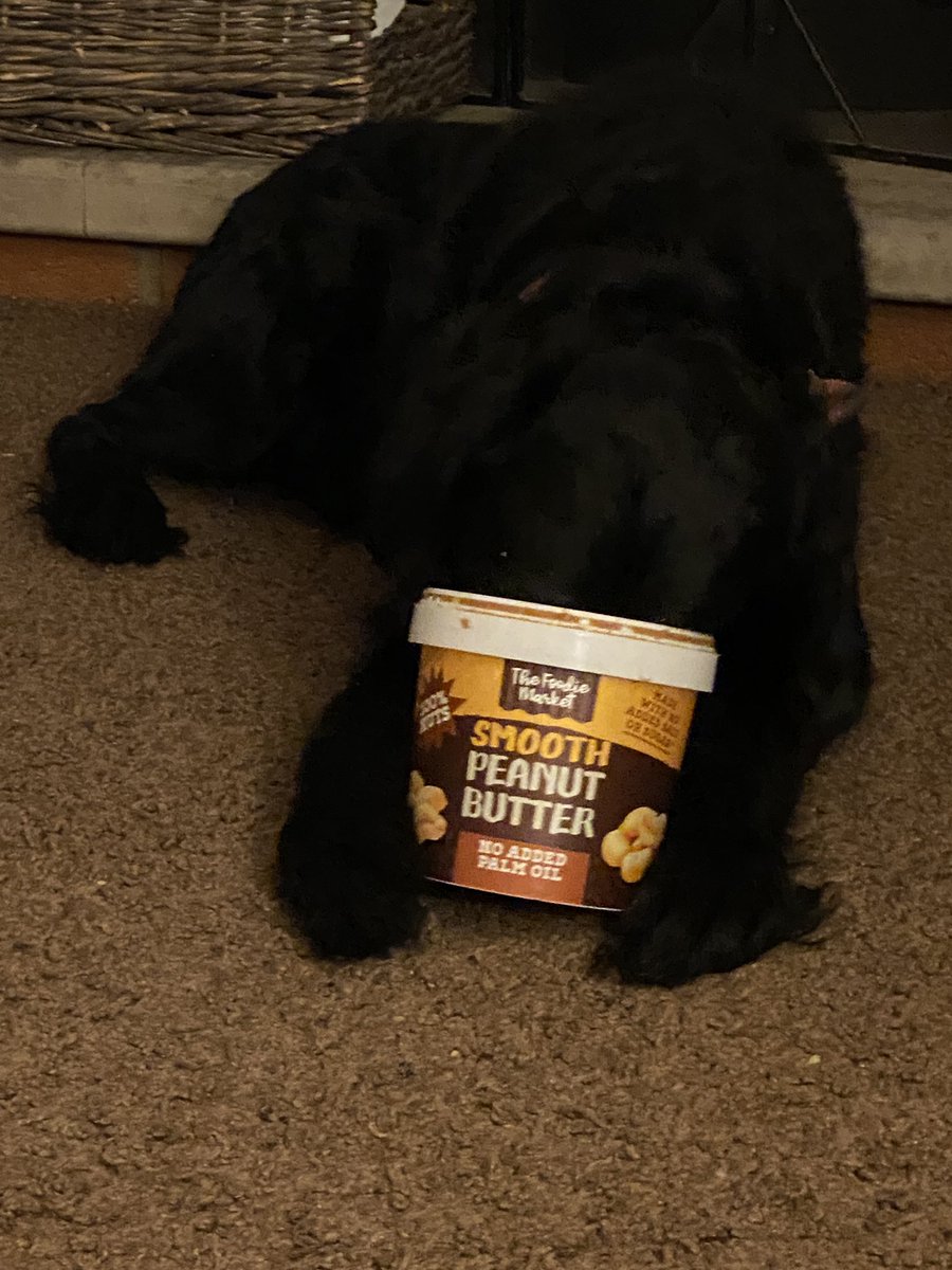 drewmjmacdonald's tweet photo. @AldiUK our dog loves finishing your peanut butter once our 7 kids have finished the tub https://t.co/zOYJBaUUQk