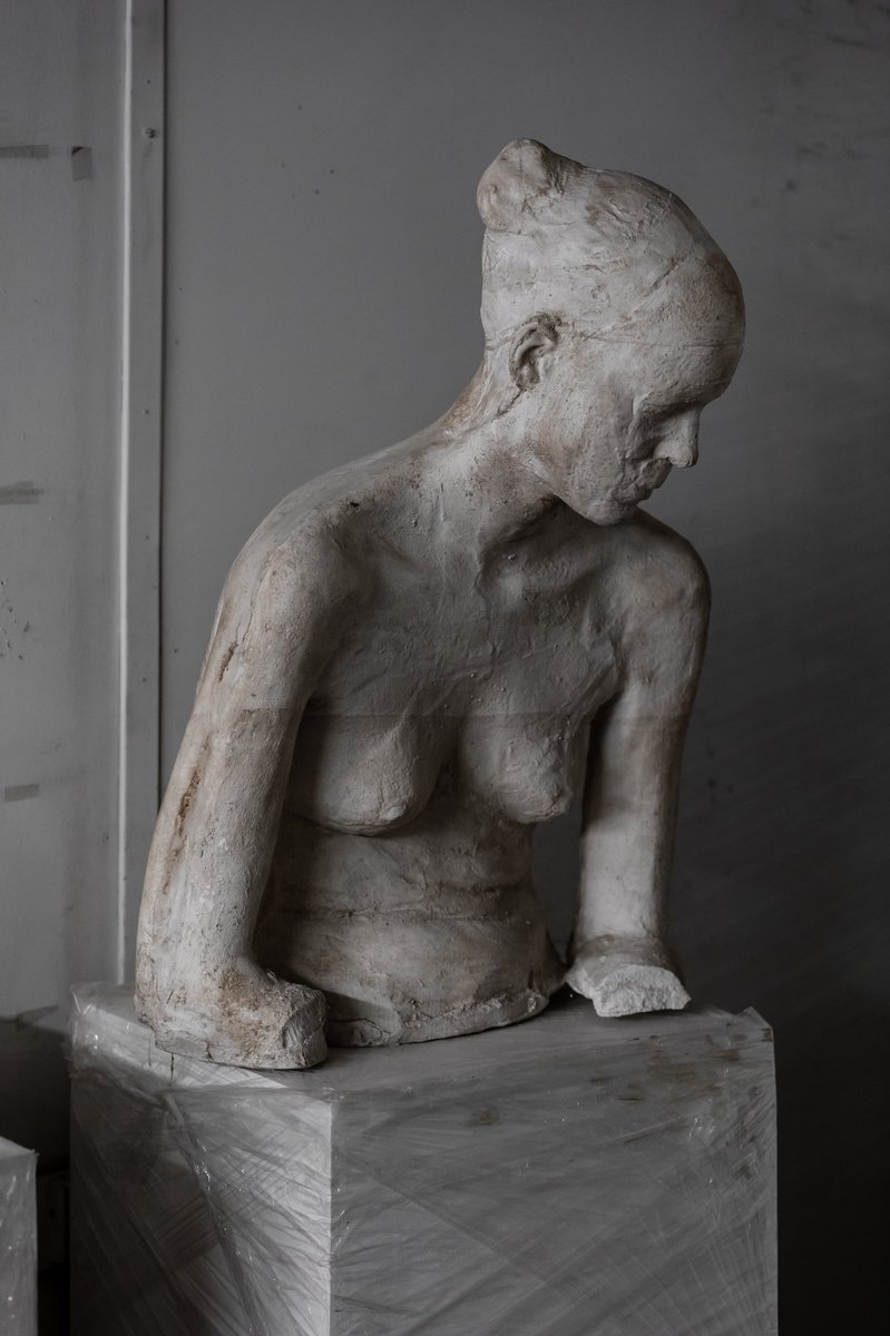 rarereference's tweet image. 