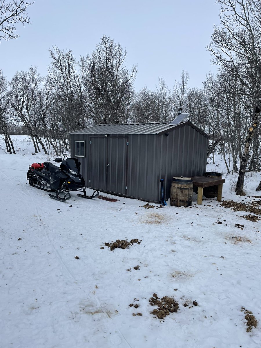 The horses kinda claimed this shack