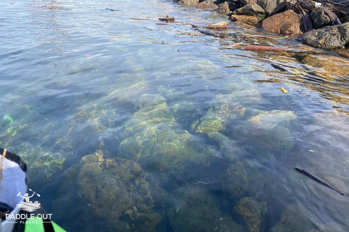 PadleOutPlastic's tweet image. Before and after coming upon a puddle of plastic pollution this morning. We prefer the “after” view. If you do, too, #reducesingleuseplastic #paddleoutplastic