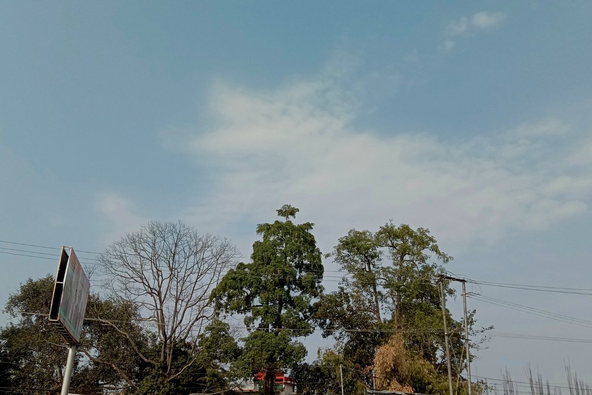 Sg_sanna's tweet photo. Morning Sky

Cheerful invitation to start a day,
Time to utilize my restored energy to something profitable 🙂
and make my day ....

Happy Sunday everyone!

#myphoto #morningsky
#sunrise #morningclouds 
#februarymorning #northeastindia https://t.co/yP7urCdviP