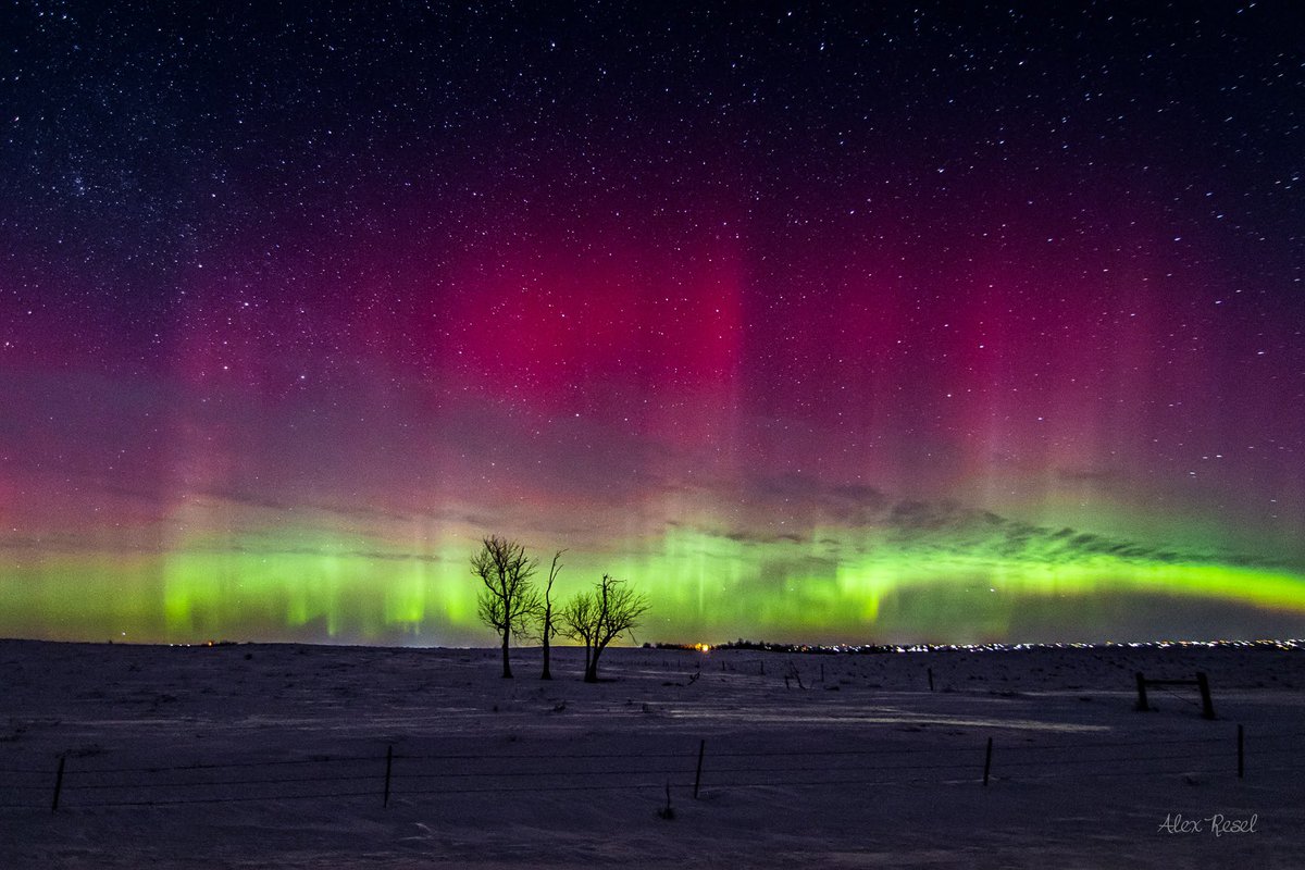 aresel_'s tweet photo. I’m still not over how incredible the aurora was this week in South Dakota. https://t.co/fqc7LGyosr