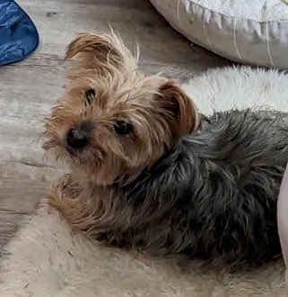 Keith Olbermann tweet media