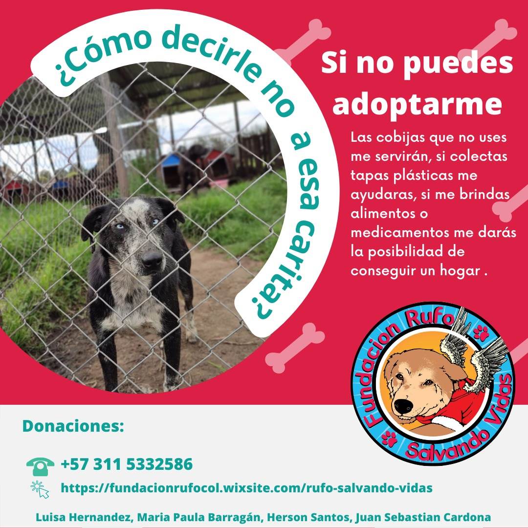 Fund Rufo Salvando V (@funrufosalvando) on Twitter photo 