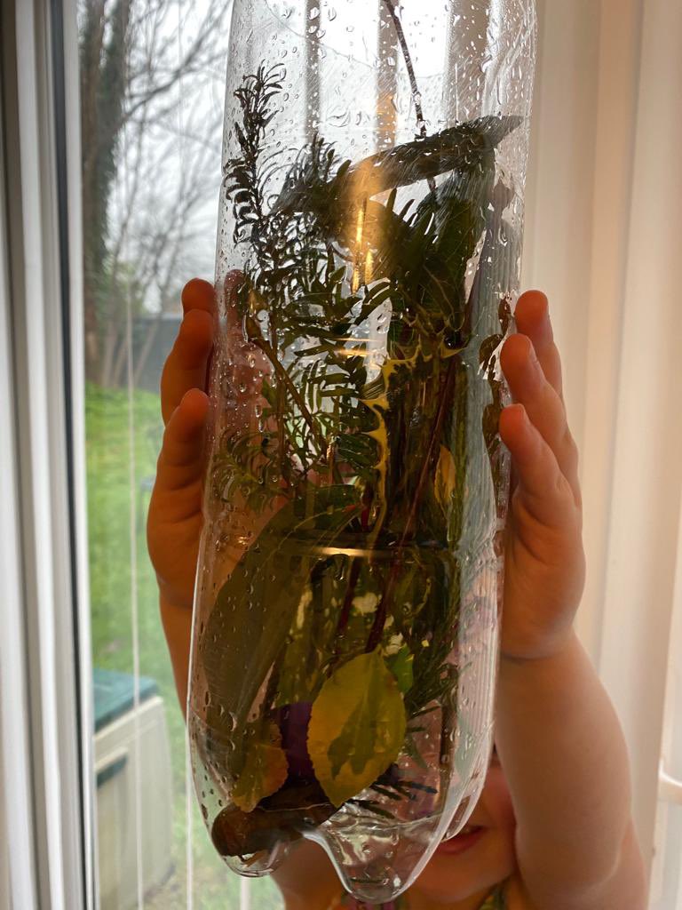 elpapps's tweet photo. Rainy day but we managed to make a nature bottle after a bike ride to collect everything @ArchibaldFirst https://t.co/JT1r0hbnF0
