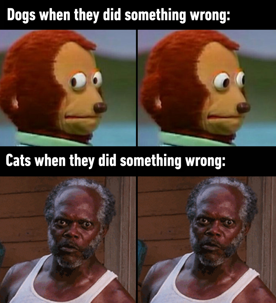 9GAG ❤️ Memeland tweet media