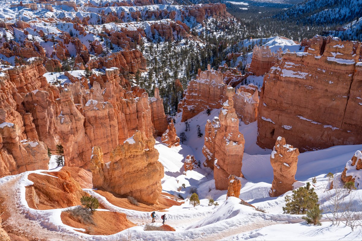 TenDigitGrid's tweet photo. Been awhile since I have posted a new trail guide, so go check out our Bryce Canyon National Park trail guide and pictures! 

Check out the guide here: https://t.co/cNXiGG21Wl

#hikingadventures #hiking #optOutside #trailGuide #photography #sonyAlpha #landscape #nationalPark https://t.co/dHnlkb7sto