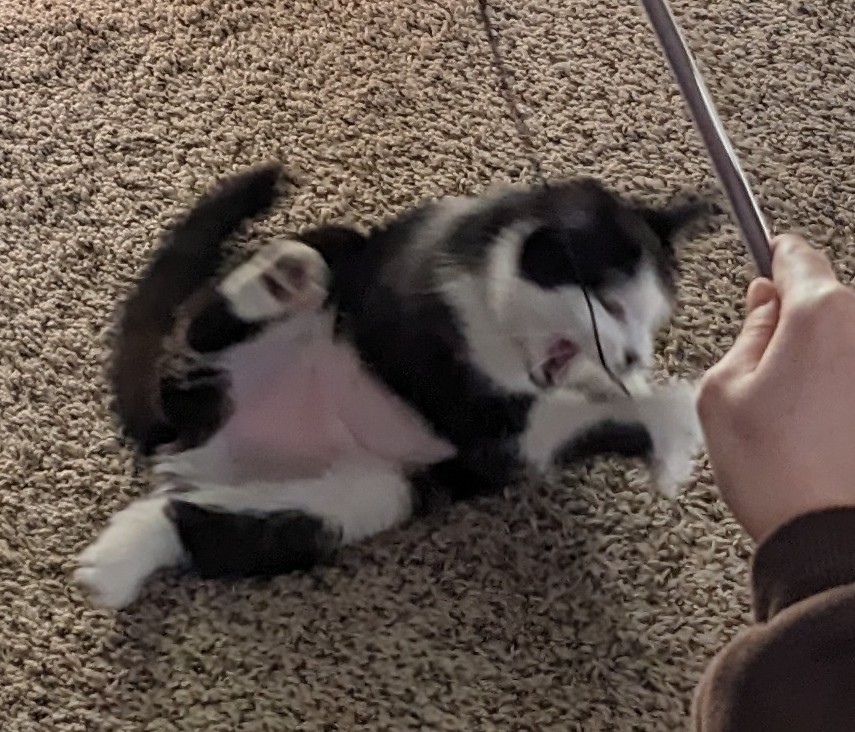 ＼ｷｯｼｬｱｱｱ／