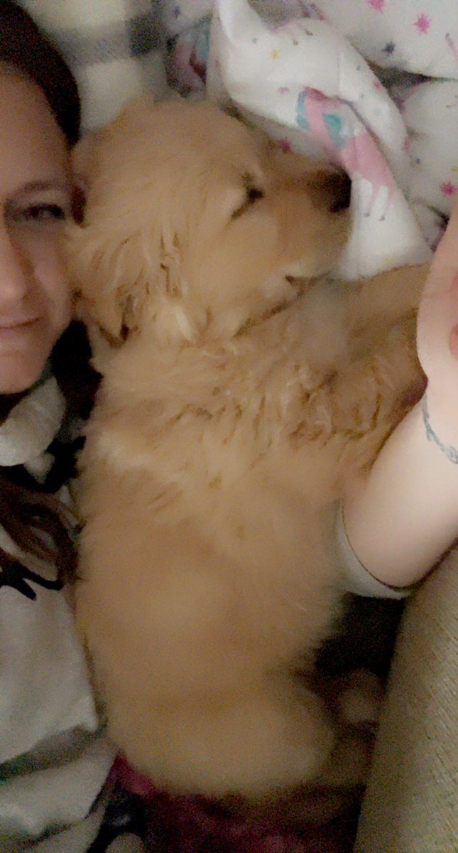NikkiShyanne's tweet photo. Still can’t believe you’re mine 🥰🥰 https://t.co/j3DuKZPJor