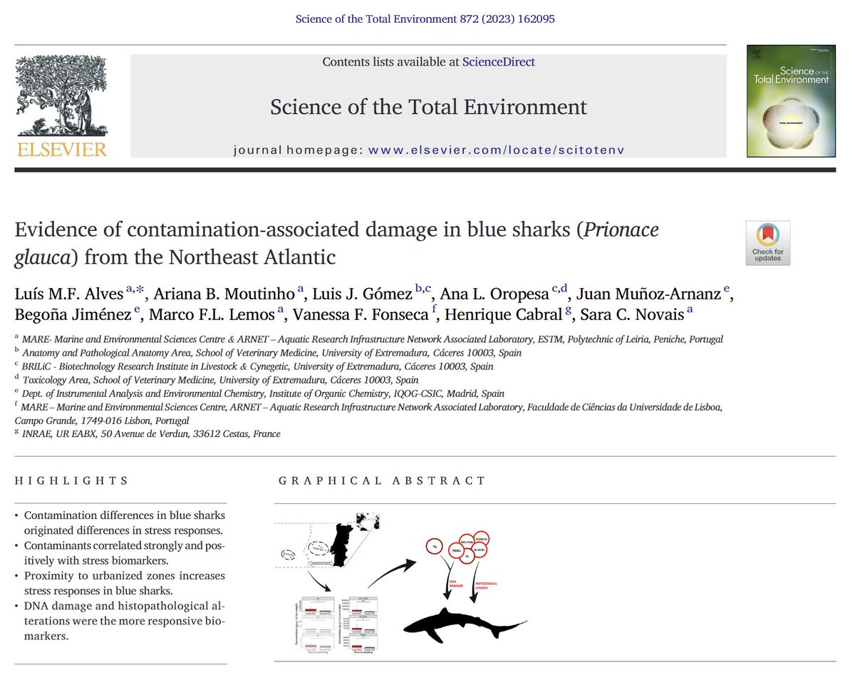 Lemos_lab's tweet photo. 📰 New @Lemos_lab paper on contamination &amp; impacts on  #sharks 🦈

📢#Pollution is impacting #blueshark ‼️

👇
https://t.co/N7SOcjuso4

@MARE_centre @ESTM_IPL @FC_UL  @BIOTOXLab @DLGMA_CSIC @INRAE_Intl @infouex https://t.co/RoI513hnyS