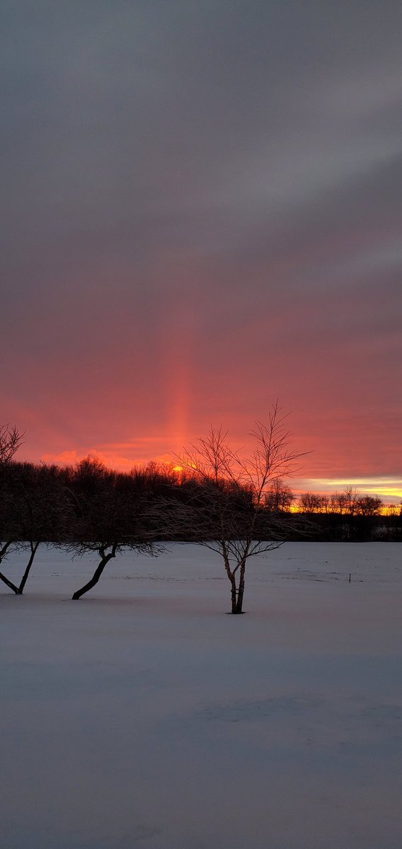 CynleeF's tweet image. Sun pillar from last night #sunset