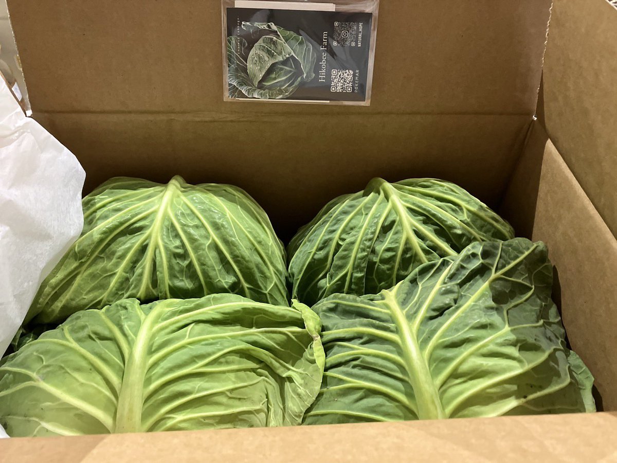 y_tokida's tweet photo. 届きましたー😄
彦兵衛農園はやしさんのキャベツ！

イーサで新鮮野菜が買える時代。
しかも送料無料！
@hicovee252 さん
ありがとうございます！

#TAG #tomajodao #NaunsDAOjapan https://t.co/NuX7XhtRBa