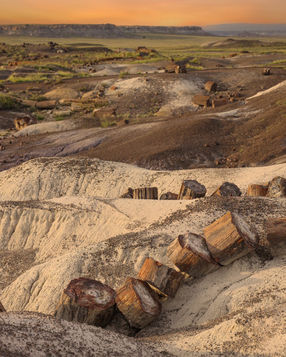Missing this place right now, especially the weather. This is sunset at Petrified Forest National Park, in Arizona. #travel #traveler #travelphotography #petrifiedforest #nationalpark #photography #photo #art #photo #photooftheday