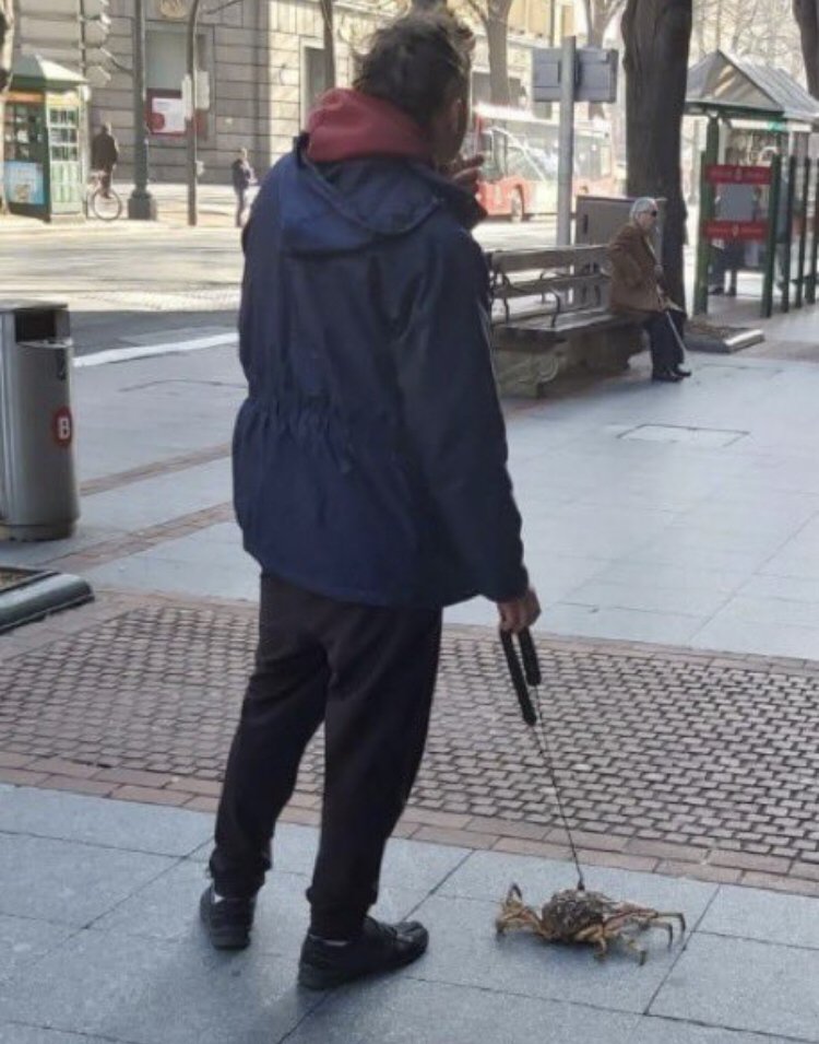 Arcade Island Roblox (@arcadeisland) on Twitter photo 