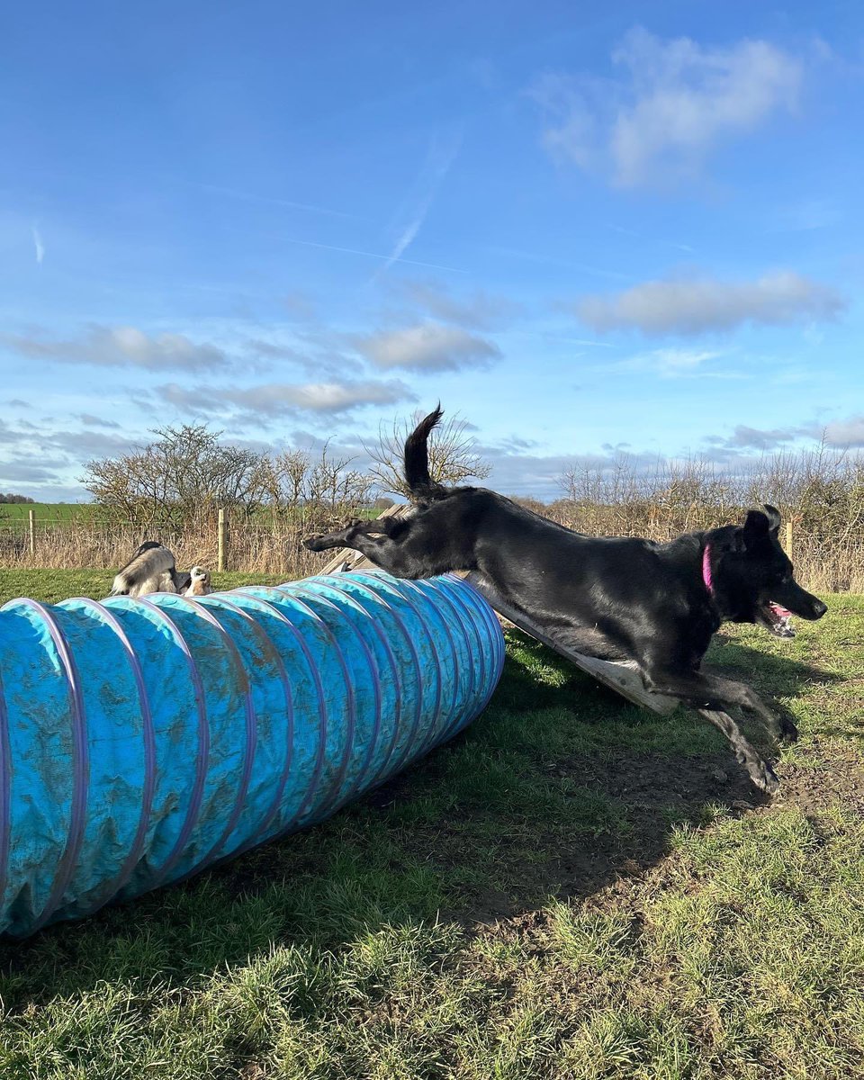 SarahBoater's tweet photo. Well hooli had fun, rested then decided to be my foot heater 🤣 https://t.co/MdUkI0kIGc