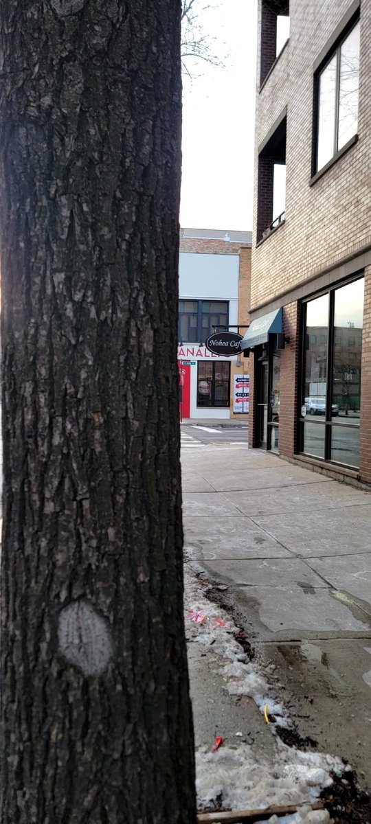 So excited to try something new in the West Loop! I've heard good things from <a href="/shane_riordan/">Shane Riordan</a> and @ParkinsSpiegel, and that the <a href="/DannyParkins/">Danny Parkins</a> special is quite filling! <a href="/RanallisWL/">Ranalli's West Loop</a>