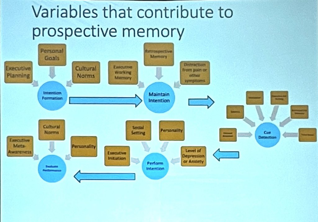 Abigail Hardin, PhD, ABPP (@ahardinphd) on Twitter photo According to <a href="/raskinsar/">Sarah Raskin</a>, the Rosenthal Distinguished Lecture Awardee, this is why you can’t remember why you walked into that room. Simple, right? #RP2023 According to <a href="/raskinsar/">Sarah Raskin</a>, the Rosenthal Distinguished Lecture Awardee, this is why you can’t remember why you walked into that room. Simple, right? #RP2023